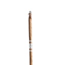 Walking Stick