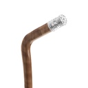 Walking Stick