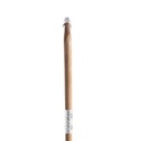 Walking Stick