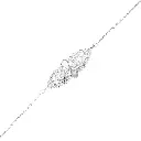 _C1A3700 copy.webp