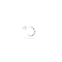 1.webp