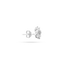 Women Earring