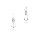 38.webp