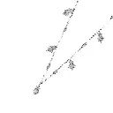 1 copy.webp