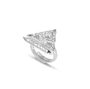 Ring.webp