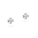 Women Earring