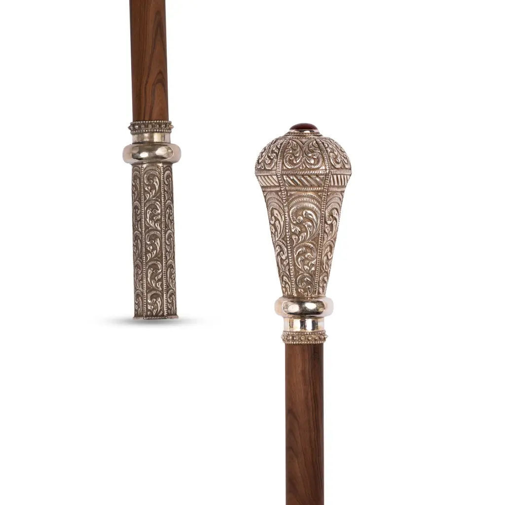 Walking Stick (H-M-ST-20845)