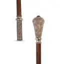 Walking Stick (H-M-ST-20845)