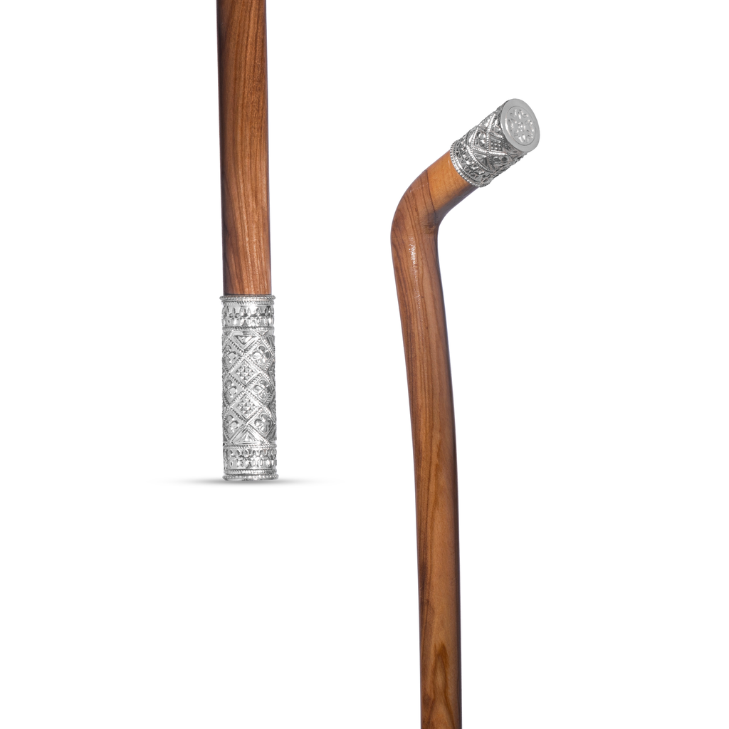 Walking Stick (H-M-ST-21119)