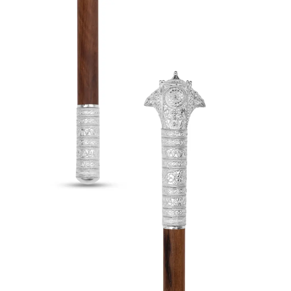 Walking Stick (H-M-ST-21223)