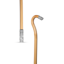 Walking Stick 