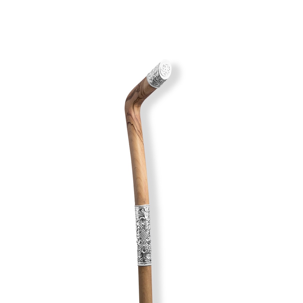 Walking Stick