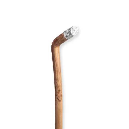 [H20825] Walking Stick (H-M-ST-20825)