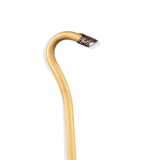 Walking Stick