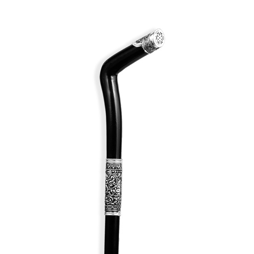 [H05899] Walking Stick